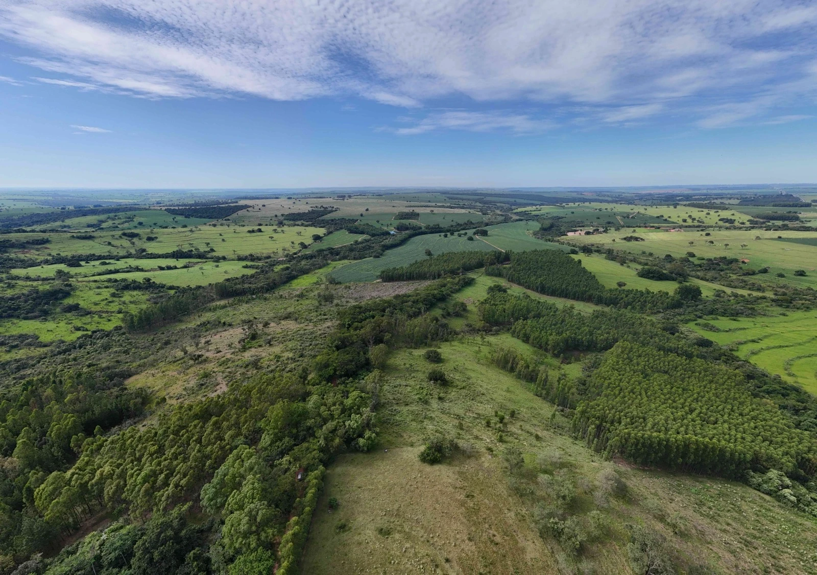 Imagem Fazenda à Venda, 138 HA em Área Rural de Echaporã - Echaporã