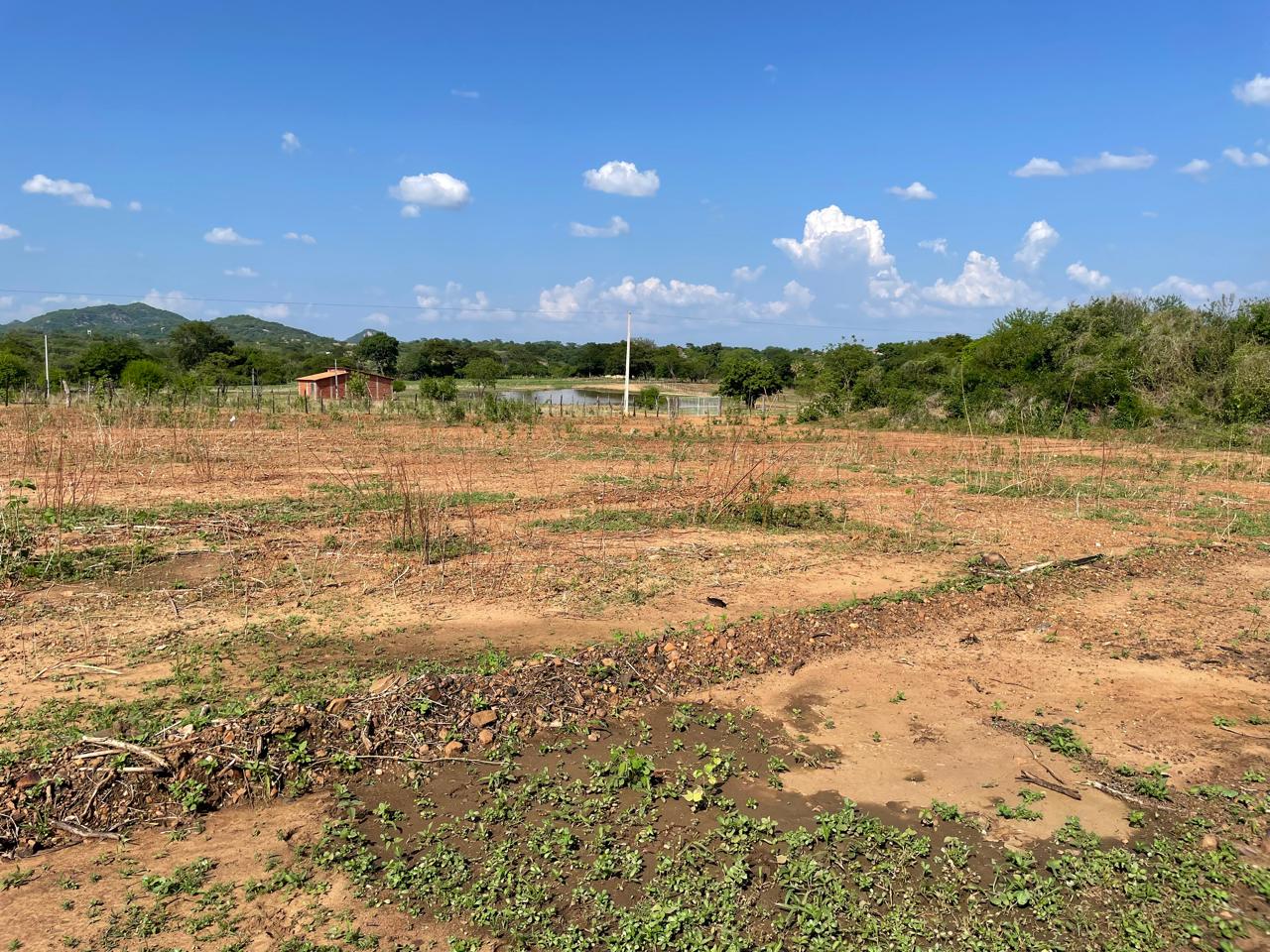 Foto do imóvel: Terreno à Venda ou Locação, 1.000 m² em Zona Rural - Itaporanga