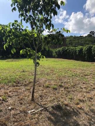 Imagem Terreno em Condomínio à Venda, 600 m² em Bonança - MORENO