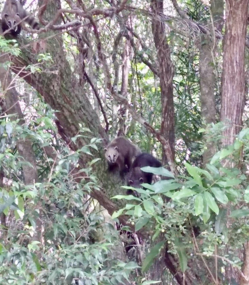 Imagem Terreno em Condomínio à Venda, 5 m²em Caxambu - Jundiaí