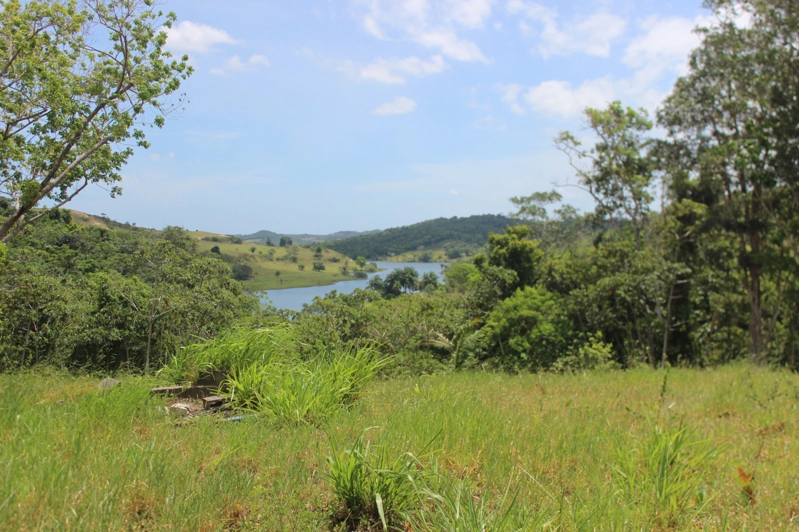 Foto do imóvel: Chácara com 2 Quartos à Venda, 20100 m² em Mata de São João - Mata de São João