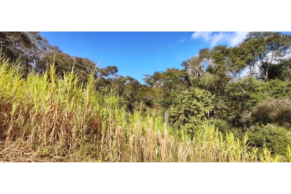 Imagem Terreno à Venda, 3.820 m² em Araras - Petrópolis