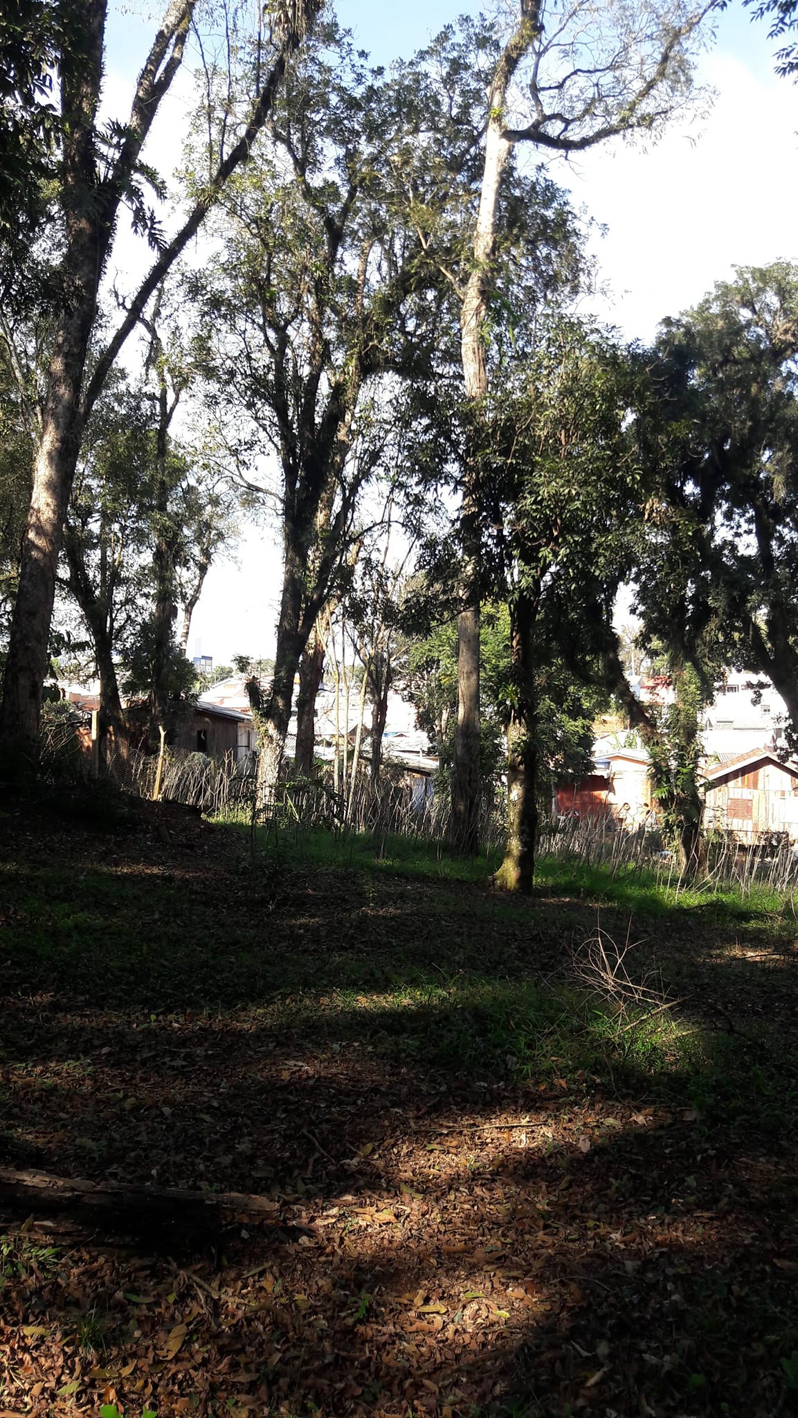 Foto do imóvel: Terreno à Venda, 3.200 m²em Efapi - Chapecó