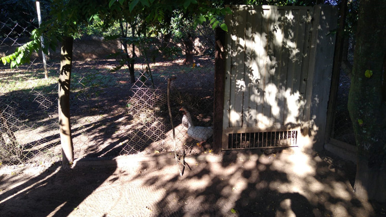 Imagem Chácara com 4 Quartos à Venda, 300 m² em Jardim do Trevo - Araçatuba