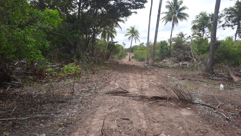 Imagem Terreno à Venda, 300 m²em Barra do Jacuípe - Camaçari
