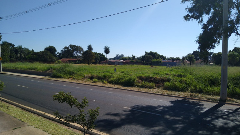 Imagem Terreno à Venda, 5.000 m² em Chácaras TV - Araçatuba