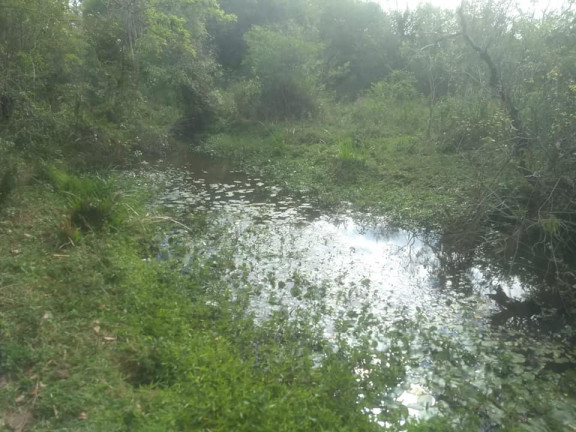 Imagem Fazenda à Venda, 36.000 m² em Aparecidinha - Araçoiaba da Serra