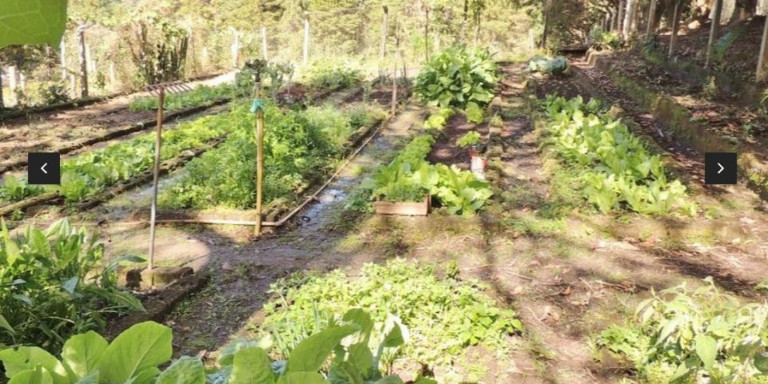 Imagem Chácara com 8 Quartos à Venda, 800 m² em Centro - Santa Isabel