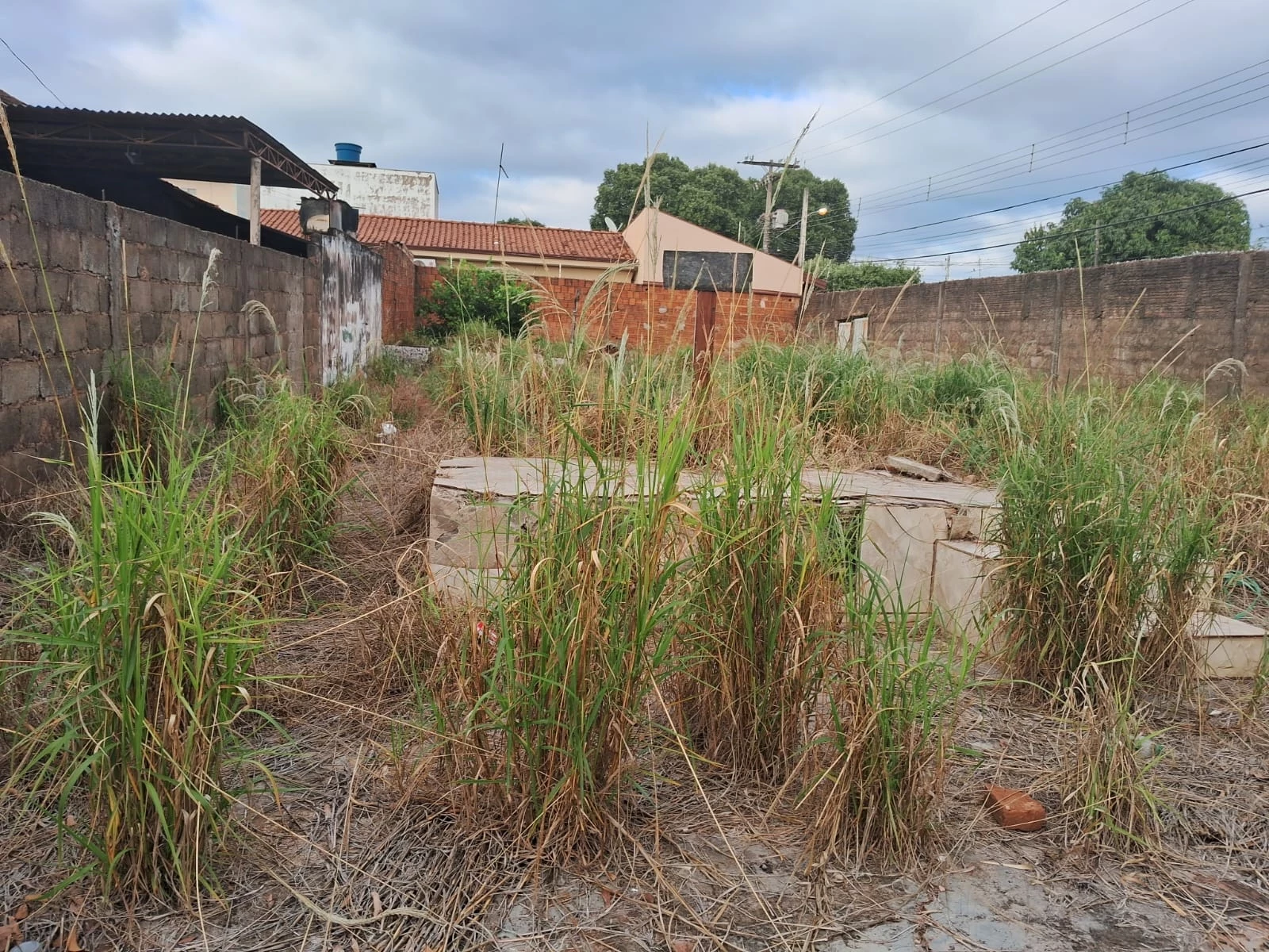 Imagem Terreno à Venda, 360 m² em Vila Industrial - Bauru