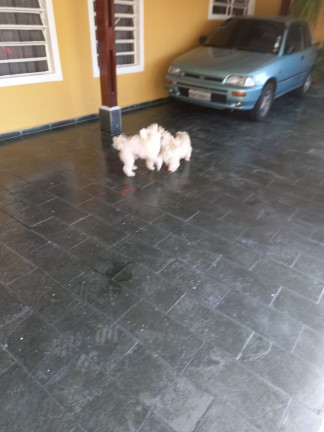 Sobrado com 3 Quartos à Venda, 160 m²em Jardim Santa Mena - Guarulhos
