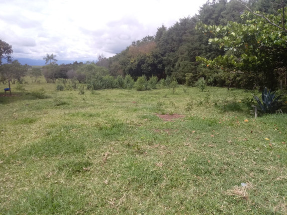 Imagem Chácara com 4 Quartos à Venda, 25.000 m²em Jardim Palmeiras - Caçapava