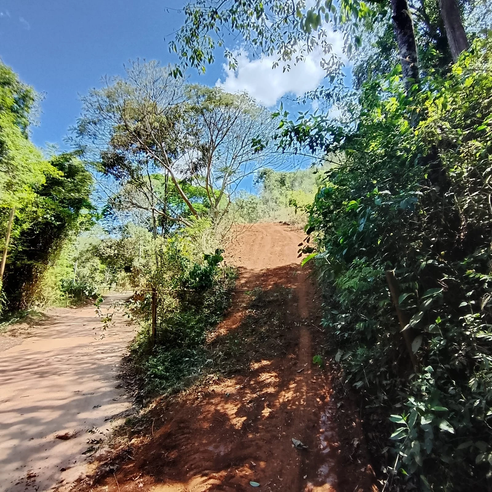 Imagem Terreno à Venda, em Torreões - Juiz de Fora