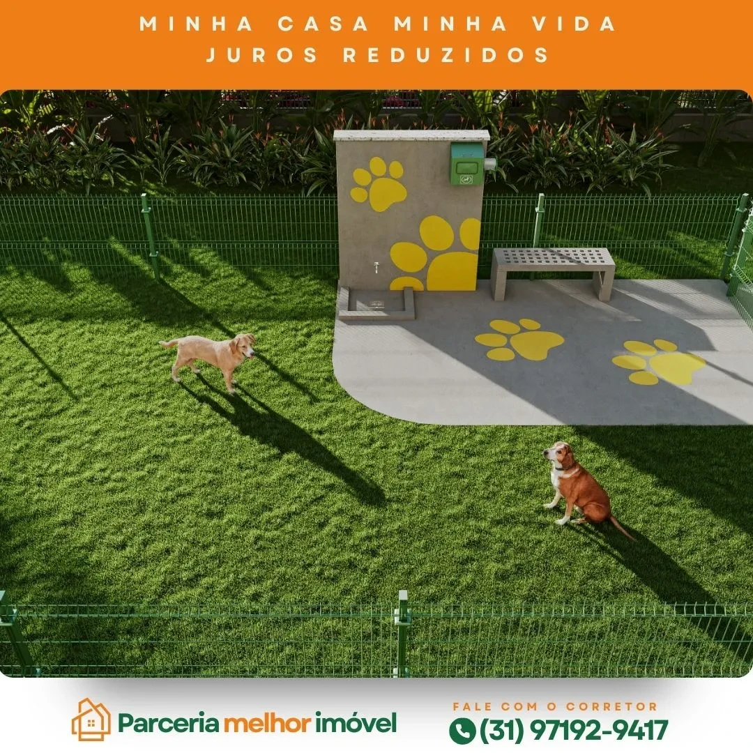 Foto do imóvel: Apartamento com 2 Quartos à Venda, 46 m² em Alípio de Melo - Belo Horizonte