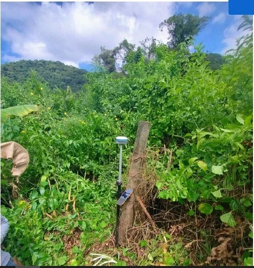 Imagem Terreno à Venda, 22007 m² em Vila Natal - Cubatão