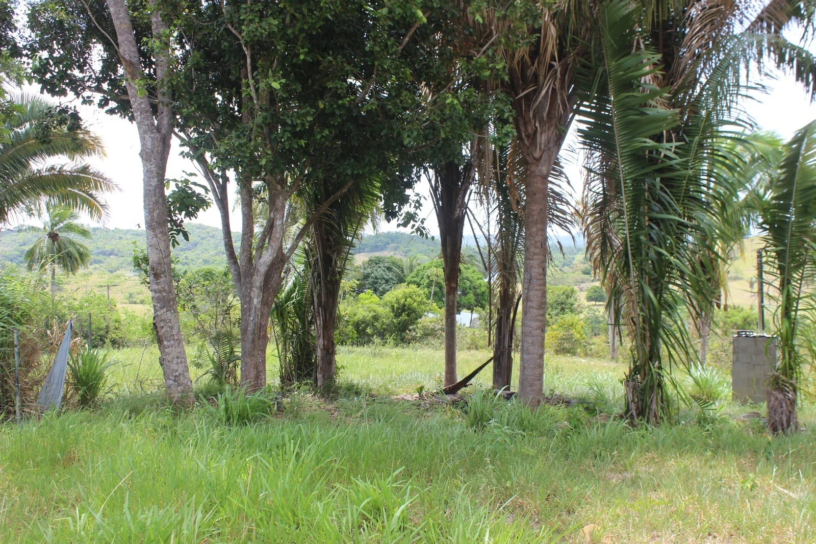 Foto do imóvel: Chácara com 2 Quartos à Venda, 20100 m² em Mata de São João - Mata de São João