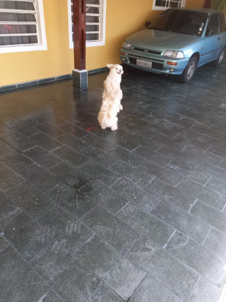 Imagem Sobrado com 3 Quartos à Venda, 160 m²em Jardim Santa Mena - Guarulhos