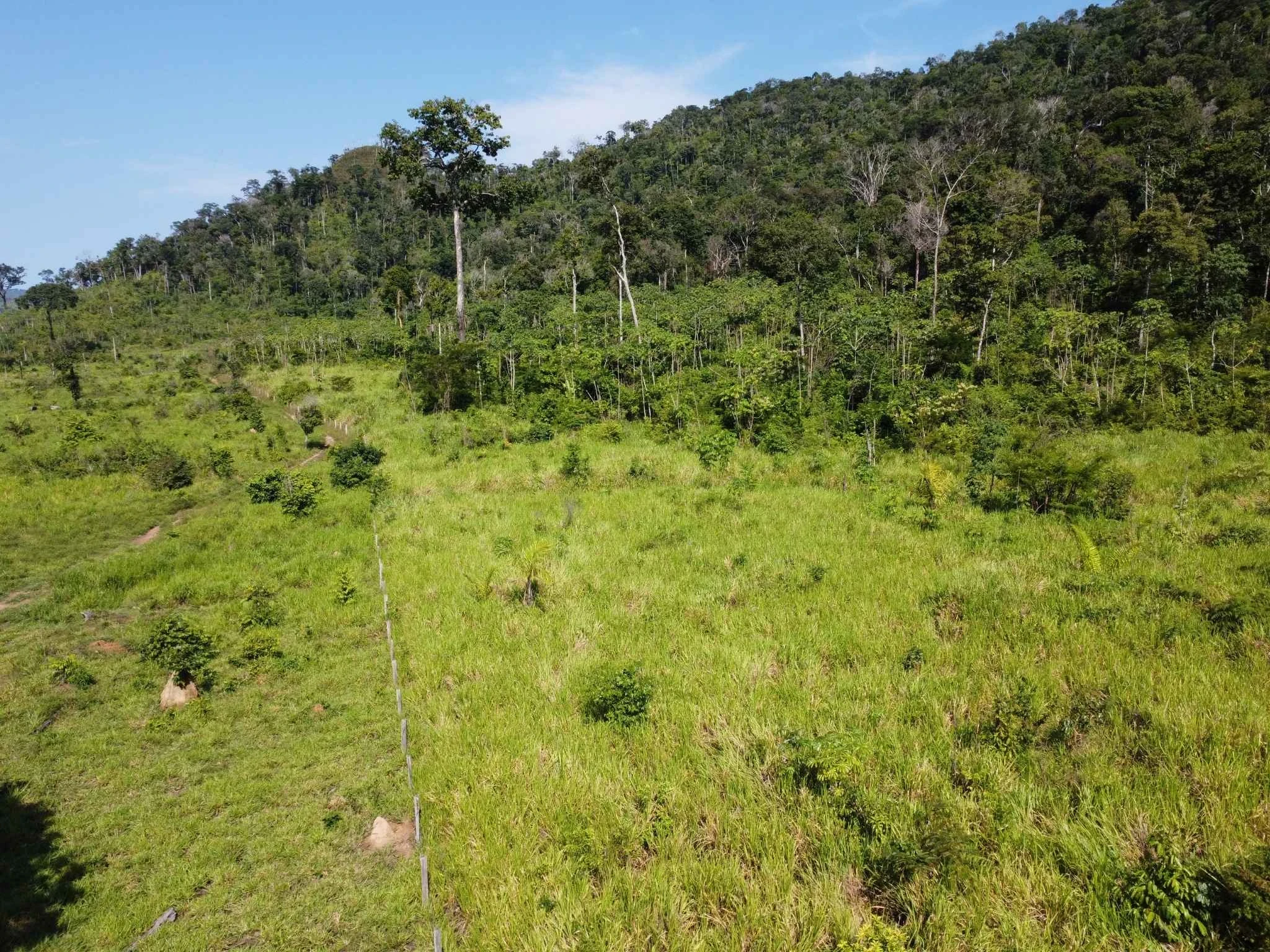 Foto do imóvel: Fazenda à Venda, 90 Alq. GO em São Félix do Xingu - São Félix do Xingu