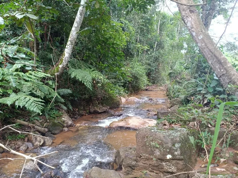 Imagem Chácara à Venda, 20000 metros em Santa Leopoldina - Santa Leopoldina