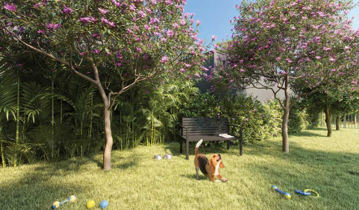 Imagem Apartamento com 1 Quarto à Venda, 50 m² em Vila Clementino - São Paulo