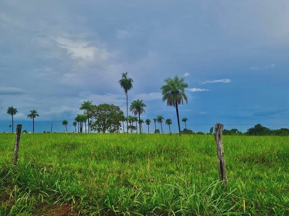 Imagem Fazenda à Venda, 1115 m² em ZONA RURAL - Mundo Novo