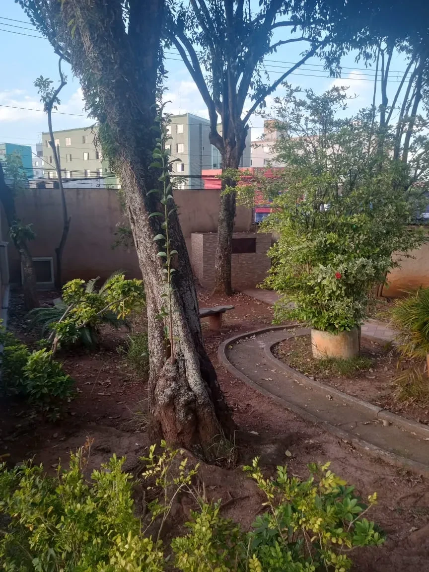 Imagem Apartamento com 2 Quartos à Venda, 48 m² em Conjunto Residencial José Bonifácio - São Paulo