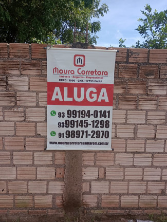 Imagem Terreno para Alugar,  em Aldeia - Santarém