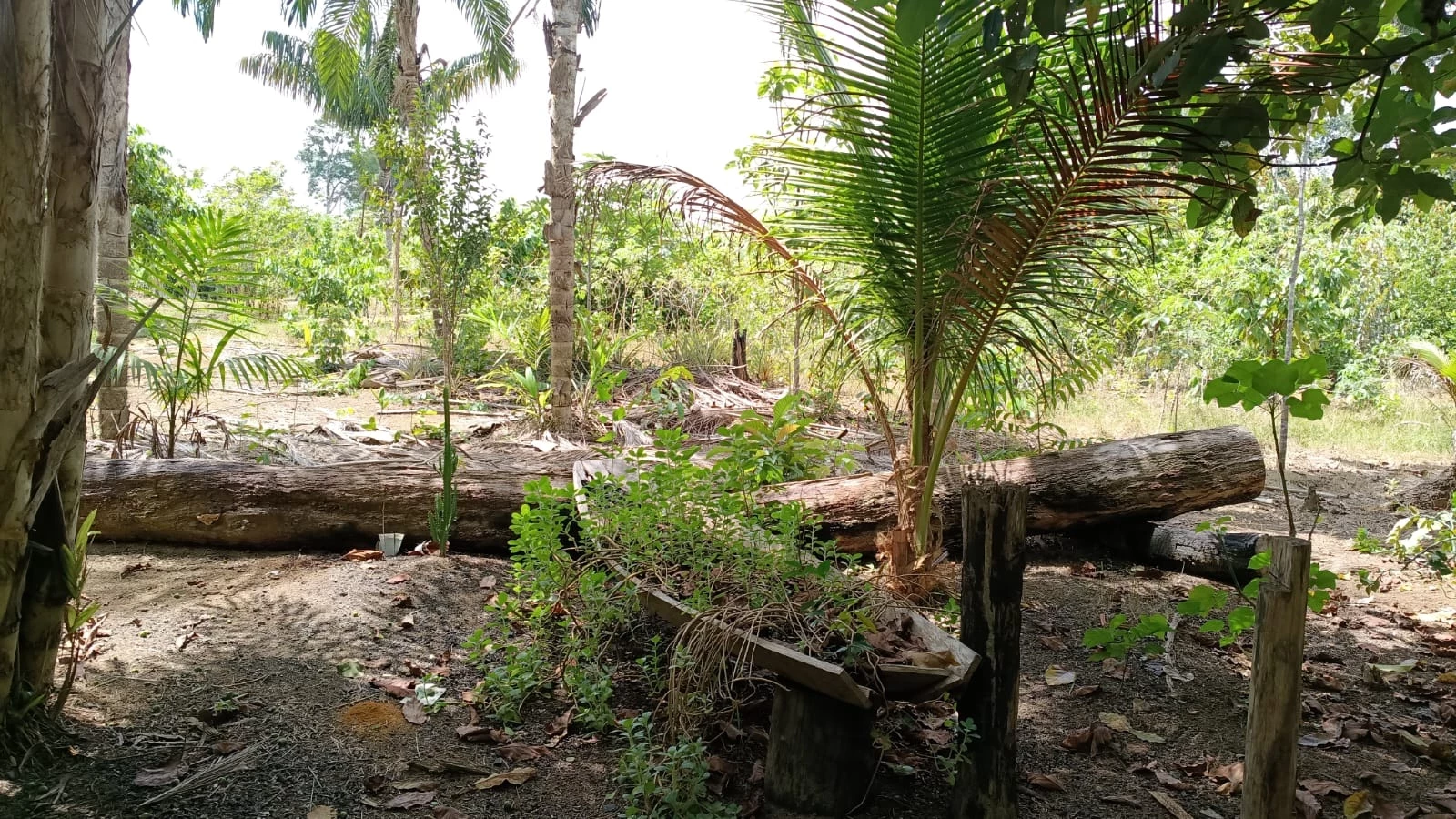 Imagem Chácara com 1 Quarto à Venda, 16.000 m² em Área Rural de Itacoatiara - Itacoatiara