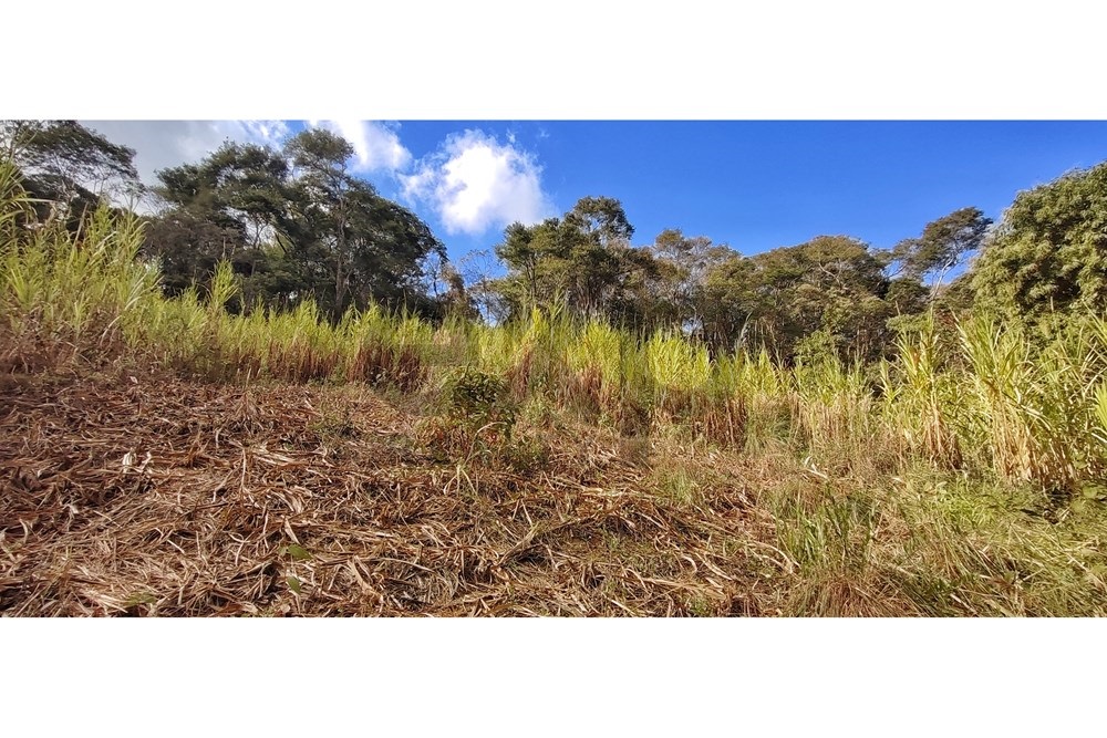 Imagem Terreno à Venda, 3.820 m² em Araras - Petrópolis