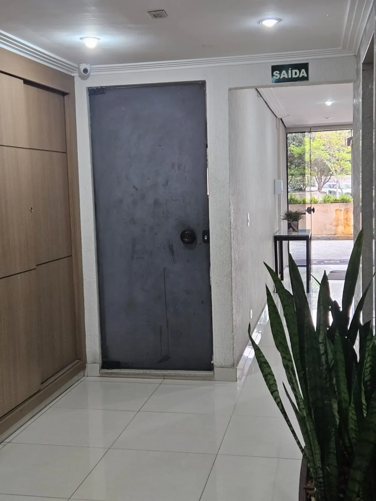 Imagem Apartamento com 3 Quartos para Alugar, 61 m² em Vila Santa Catarina - São Paulo