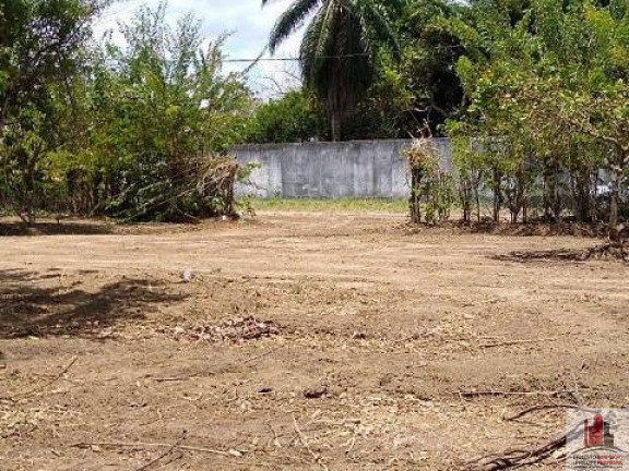 Imagem Terreno à Venda, 50.000 m² em Aldeia dos Camarás - Camaragibe