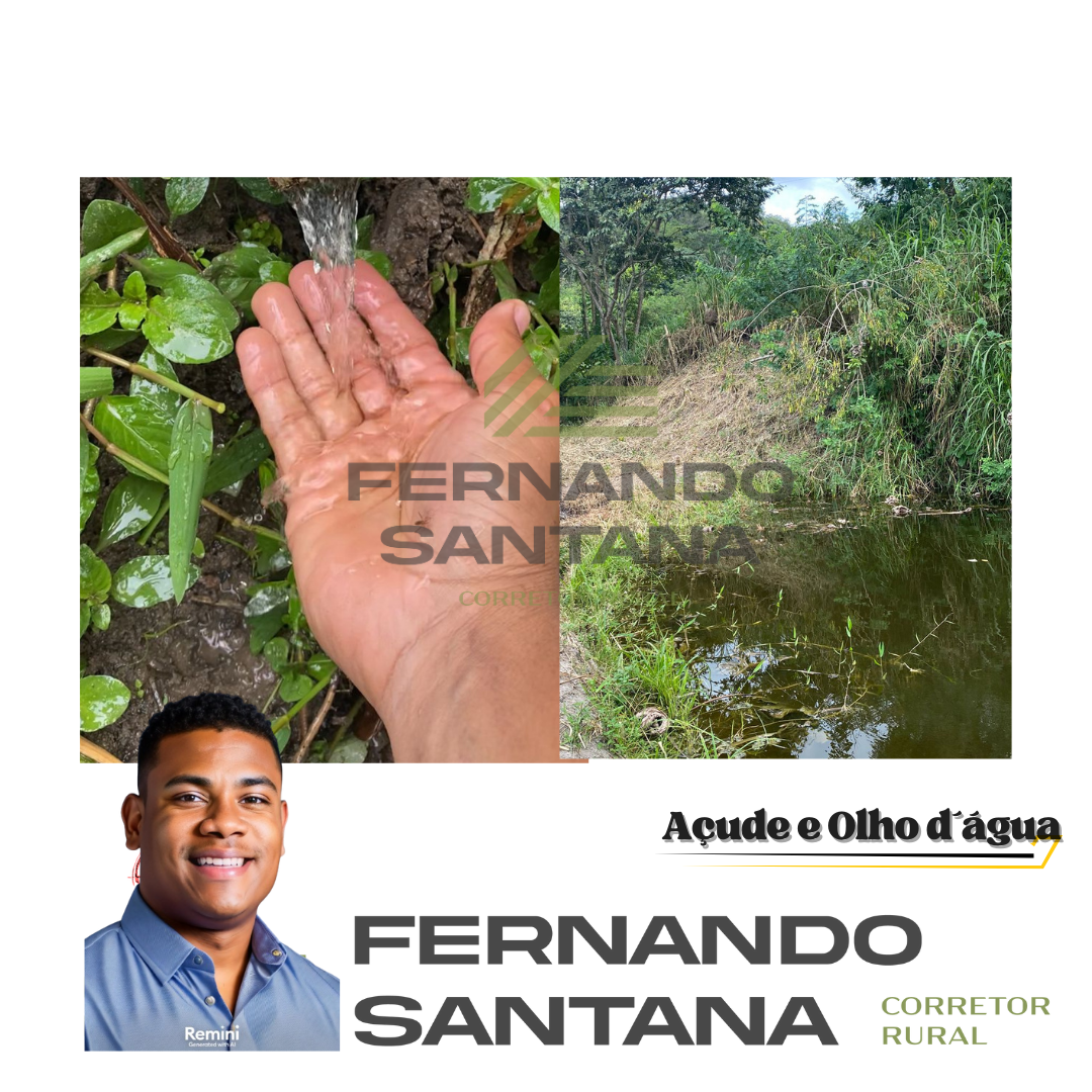 Imagem Fazenda à Venda, 3 HAem Centro - Areia