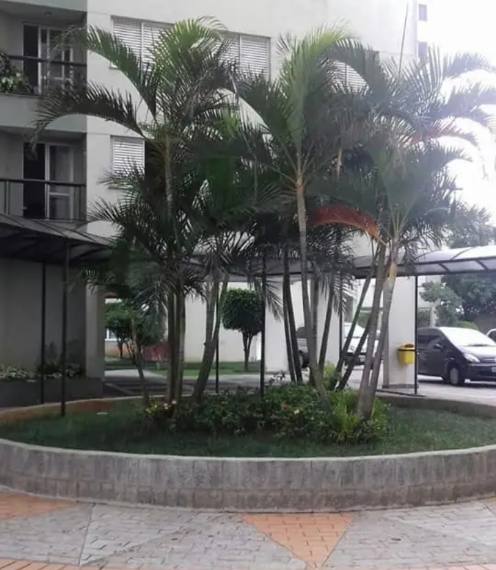 Imagem Apartamento com 2 Quartos para Alugar, 48 m² em Vila Romanópolis - Ferraz de Vasconcelos