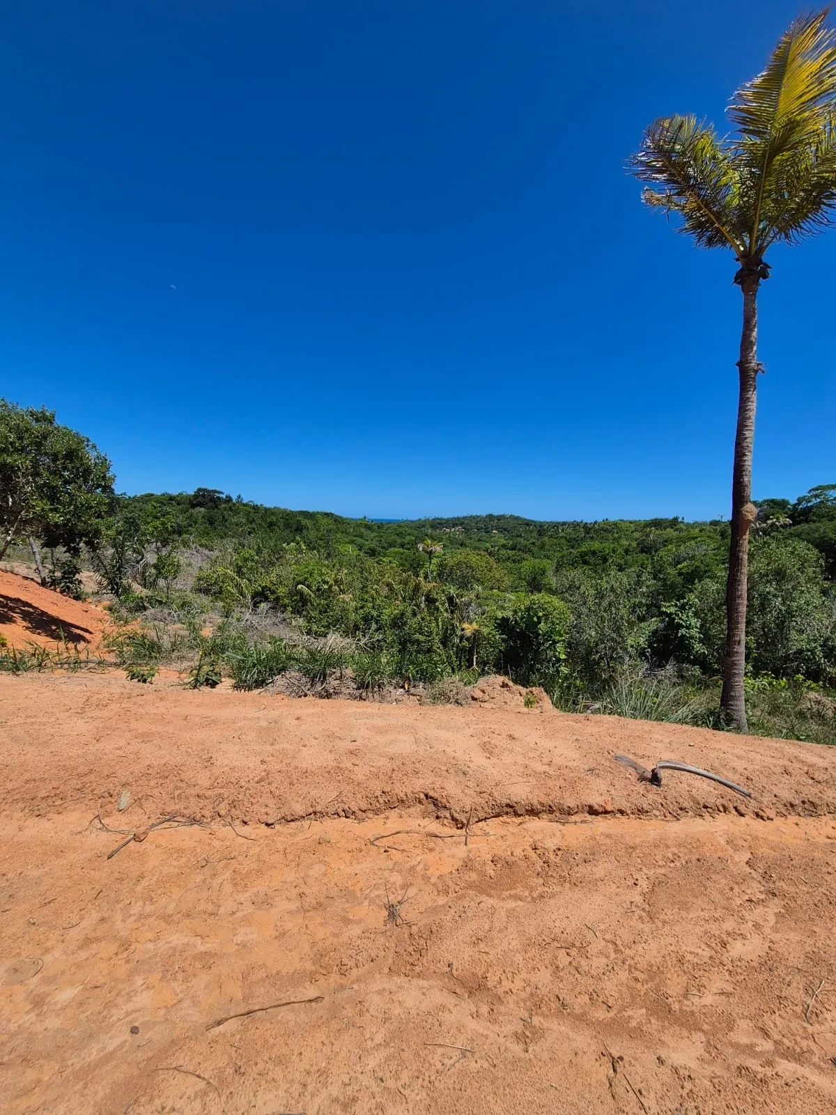 Imagem Terreno à Venda, 250 metros em Mata de São João - Mata de São João