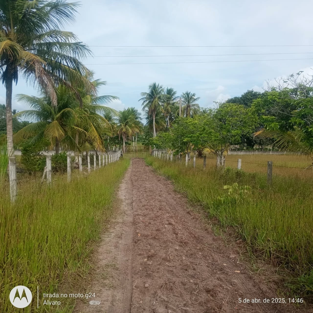 Fazenda à Venda, 14 HA em Vera Cruz - Vera Cruz