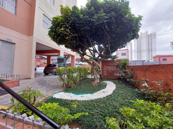 Imagem Apartamento com 3 Quartos à Venda, 89 m² em Piraporinha - Diadema