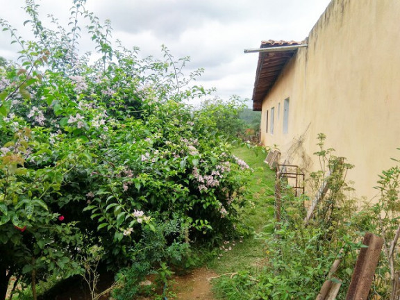 Imagem Chácara com 3 Quartos à Venda, 3 m² em Jardim Zaira - Mauá