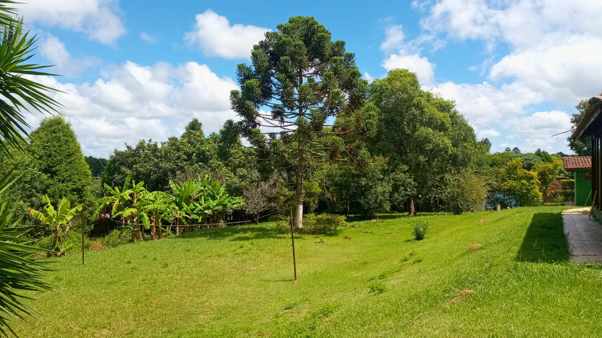 Imagem Chácara com 3 Quartos à Venda ou Temporada, 3.500 m² em Lajeadinho  - Ibiúna