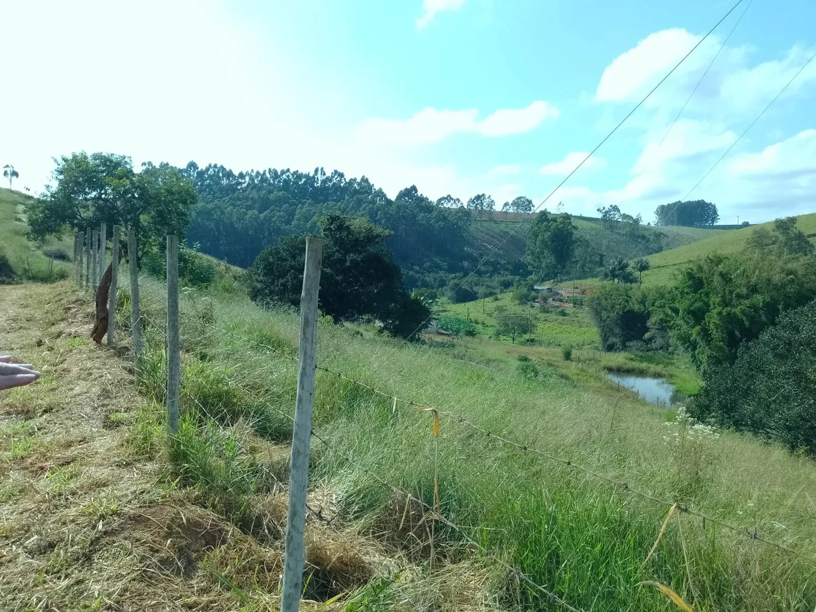 Imagem Fazenda à Venda, 5 Alq. MG em Bandeira do Sul - Bandeira do Sul