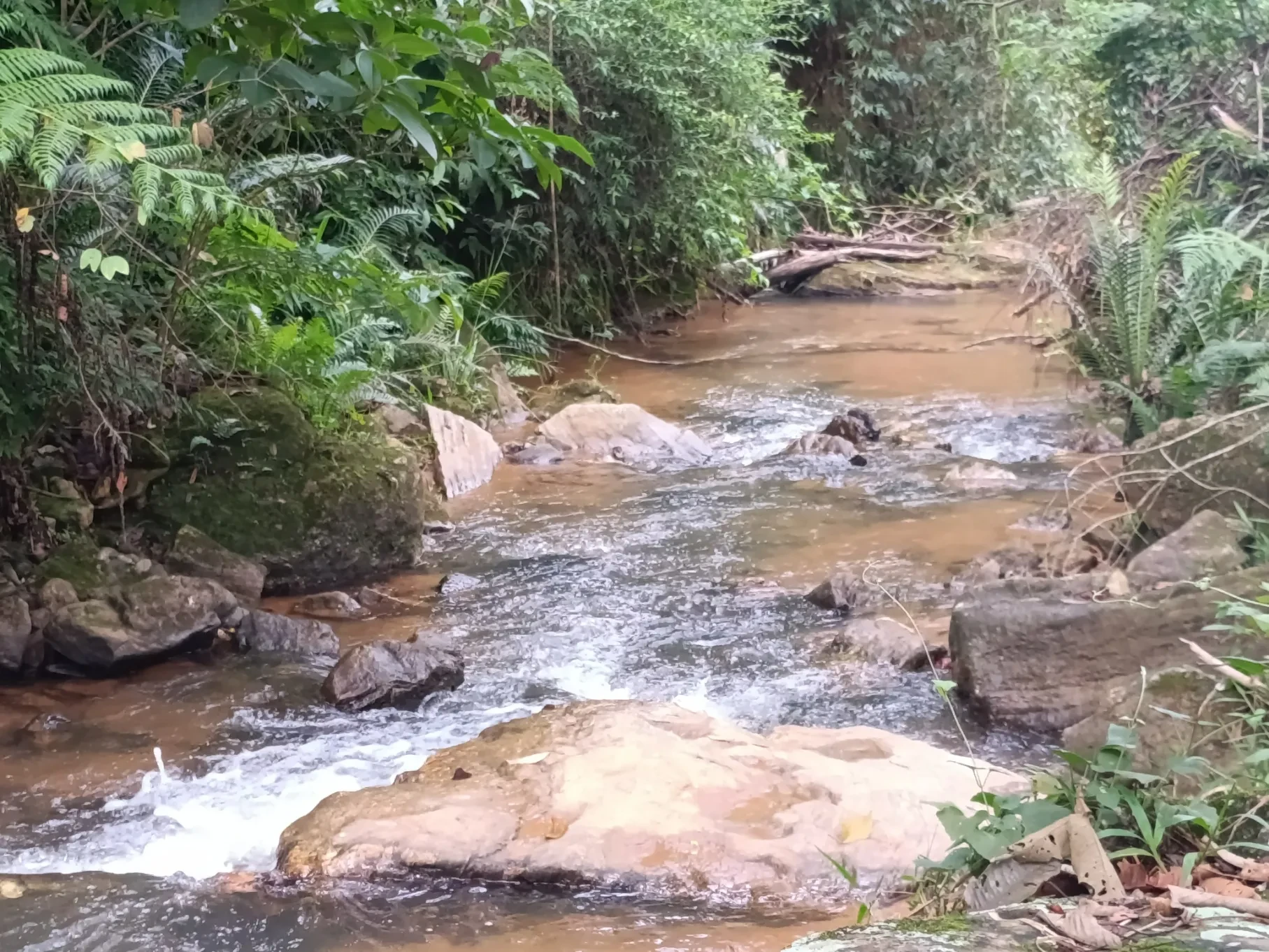 Imagem Chácara à Venda, 20000 metros em Santa Leopoldina - Santa Leopoldina