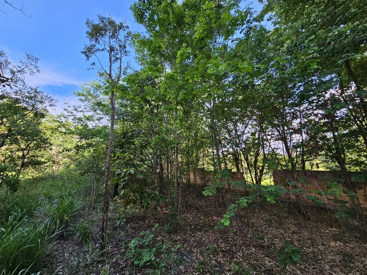 Imagem Fazenda à Venda, 18580 m² em Chácaras Ipanema - Valparaíso de Goiás