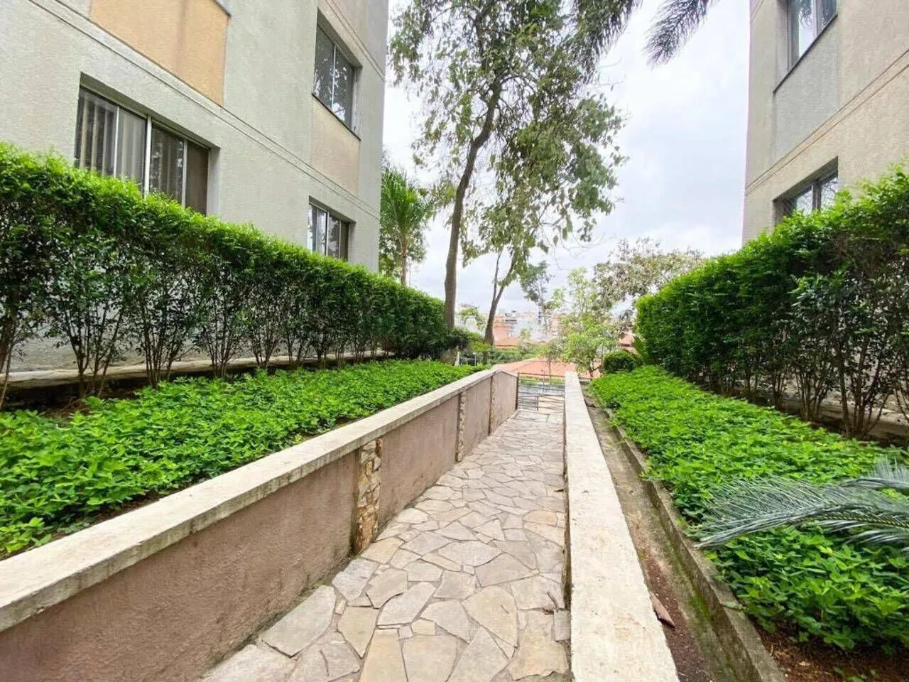 Imagem Apartamento com 3 Quartos à Venda, 55 m² em Cidade Líder - São Paulo