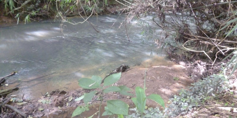 Imagem Chácara com 6 Quartos à Venda, 41.000 m² em Centro - Santa Isabel