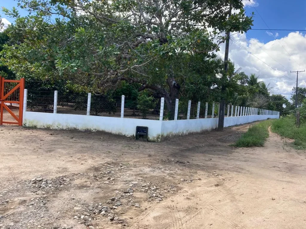 Imagem Imóvel com 3 Quartos à Venda, 17424 metros em Cachoeira - Cachoeira
