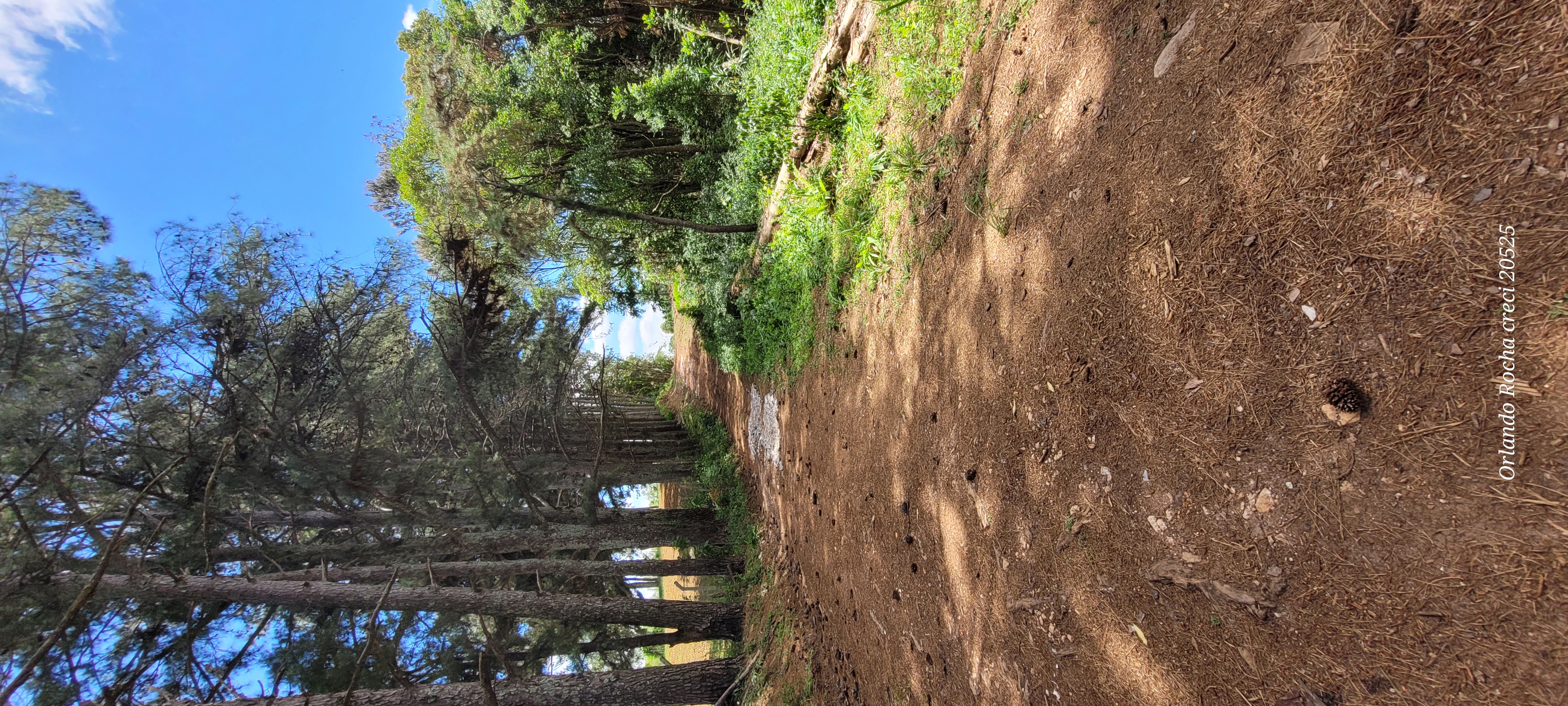 Foto do imóvel: Terreno à Venda, 3 m²em São Miguel - Curitiba