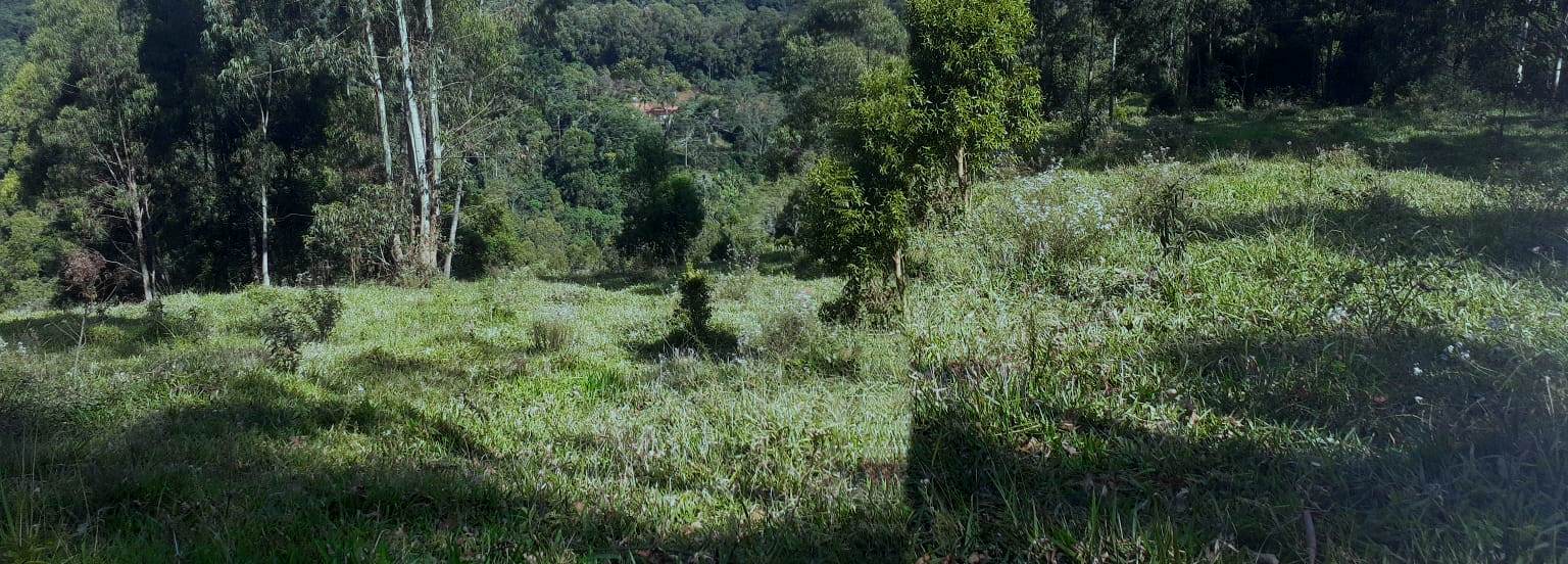 Imagem Chácara à Venda, 20.000 m² em Colinas - Poços de Caldas