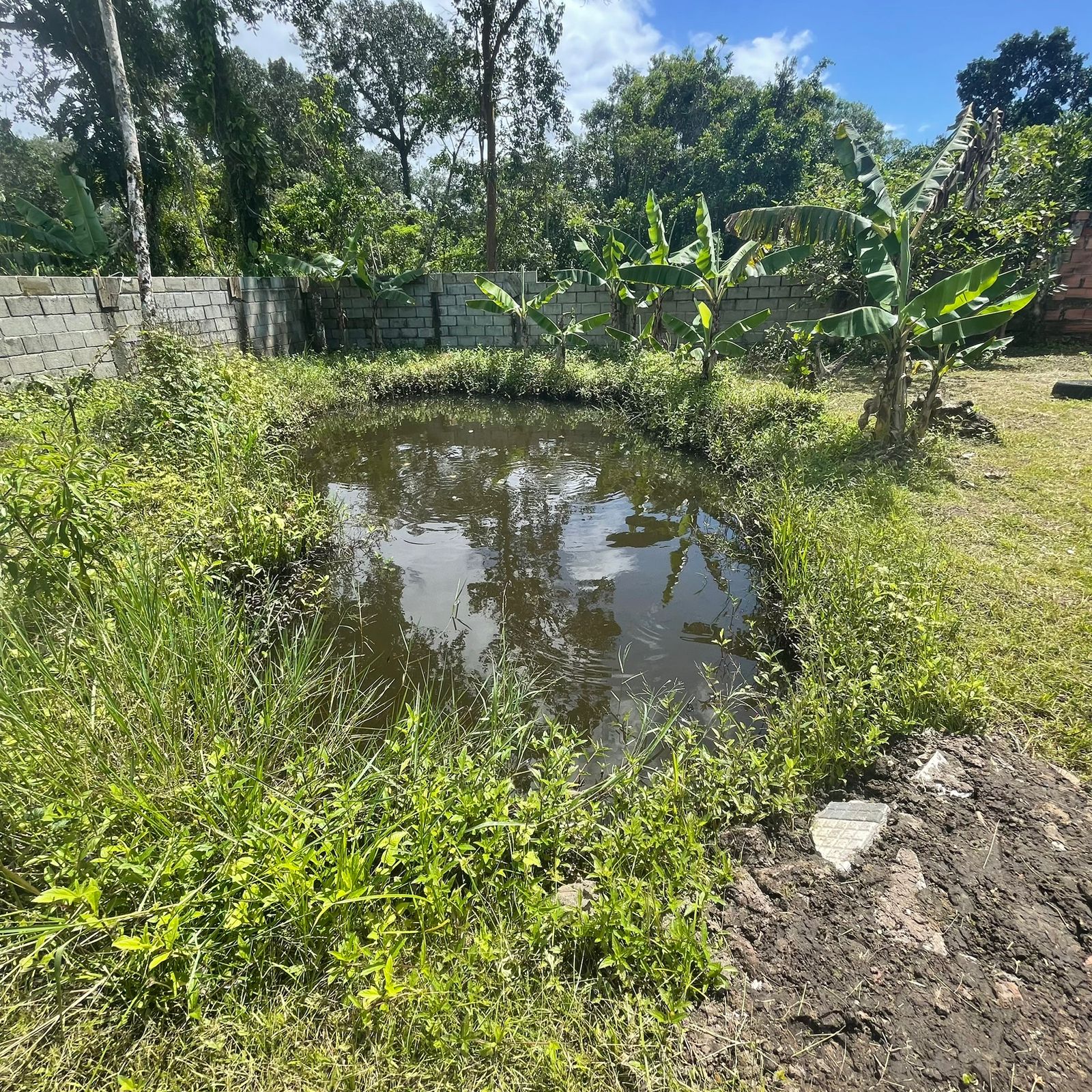 Imagem Chácara com 2 Quartos à Venda, 60 m²em Balneário Gaivota - Itanhaém