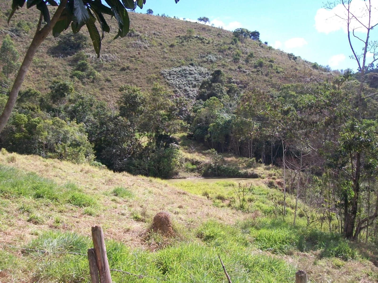 Imagem Chácara com 2 Quartos à Venda, 47.000 m² em Pirapitinga - Juiz de Fora