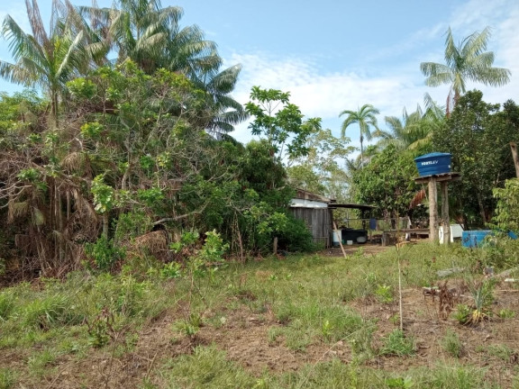 Imagem Terreno à Venda, 2.000 m² em Zona Rural - Humaitá