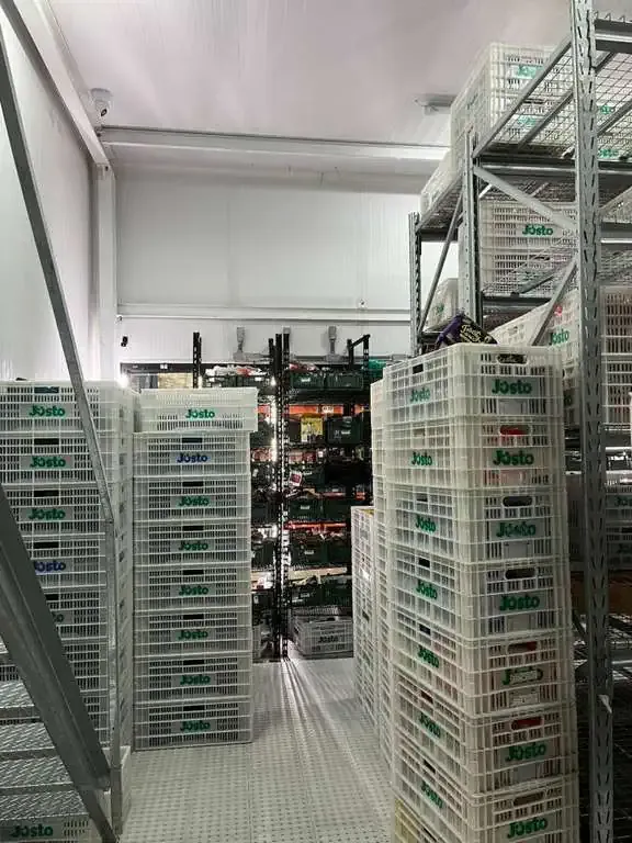 Foto do imóvel: Galpão para Alugar, 5000 m² em Parque São Domingos - São Paulo