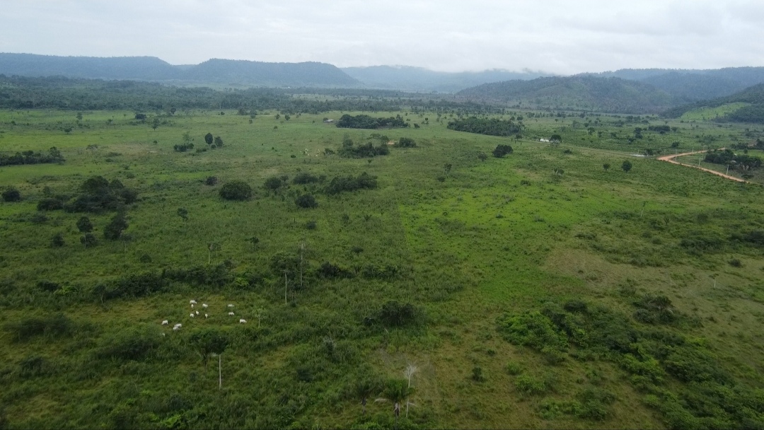 Foto do imóvel: Fazenda à Venda, 90 m²em Centro - São Félix do Xingu